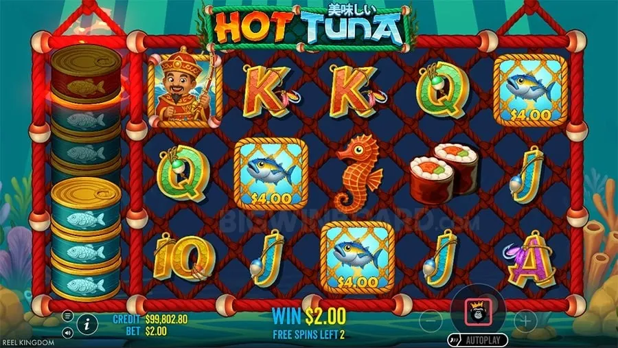 New Bingo games guide